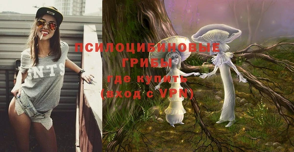амф Алзамай