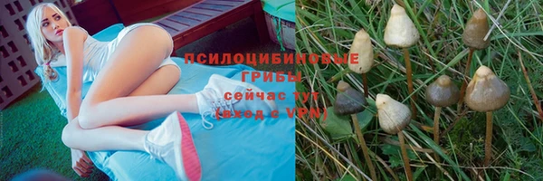 спиды Абдулино