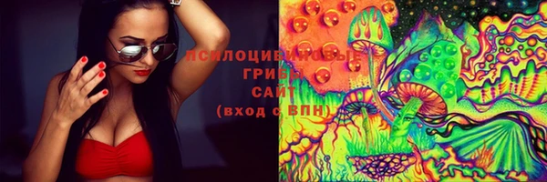 амф Алзамай
