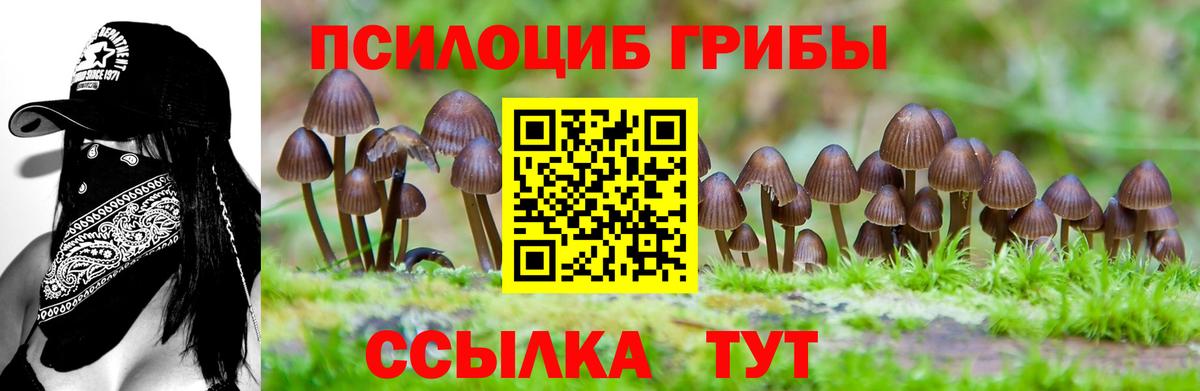 Псилоцибиновые грибы ЛСД Мирный